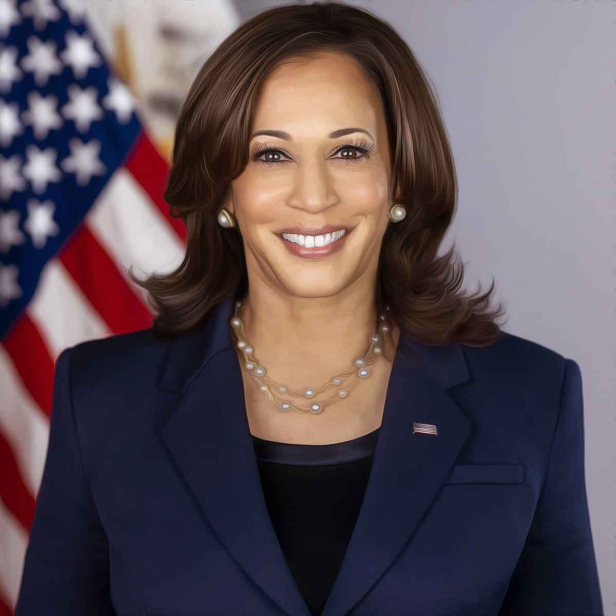 ‘I Am Kamala Harris. My Pronouns Are She and Her. I Am a Woman Sitting At the Table Wearing a Blue Suit.’