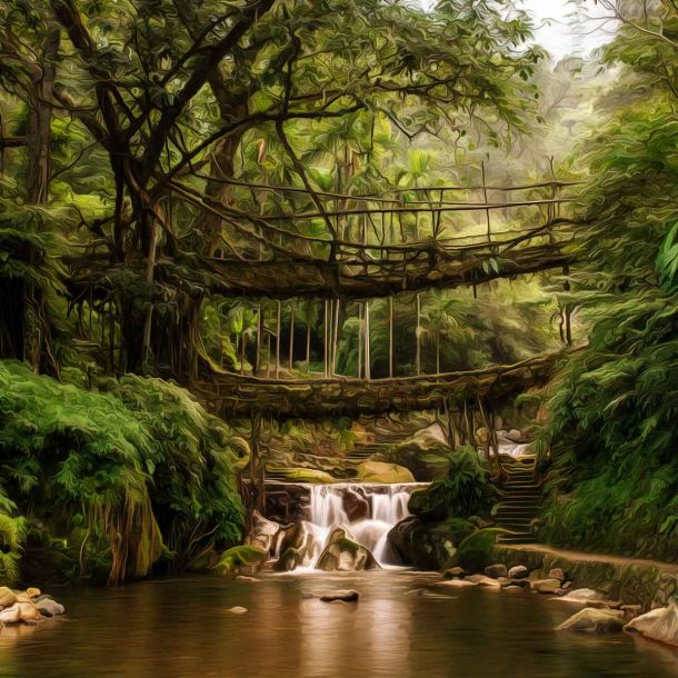 The Root Bridges of Cherrapunji