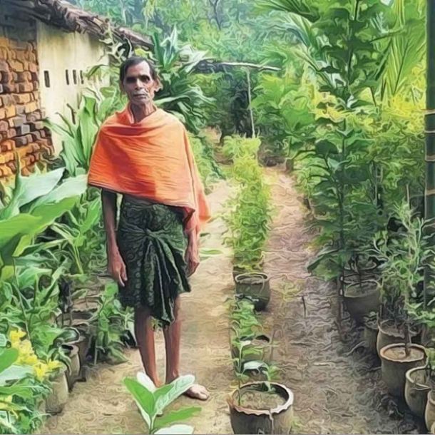 65-year-old Odisha farmer’s magical garden of medicinal plants