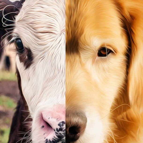 Woke Biologists Claim Now Even Wild Animals Are Suffering From the Effects of Systemic Racism