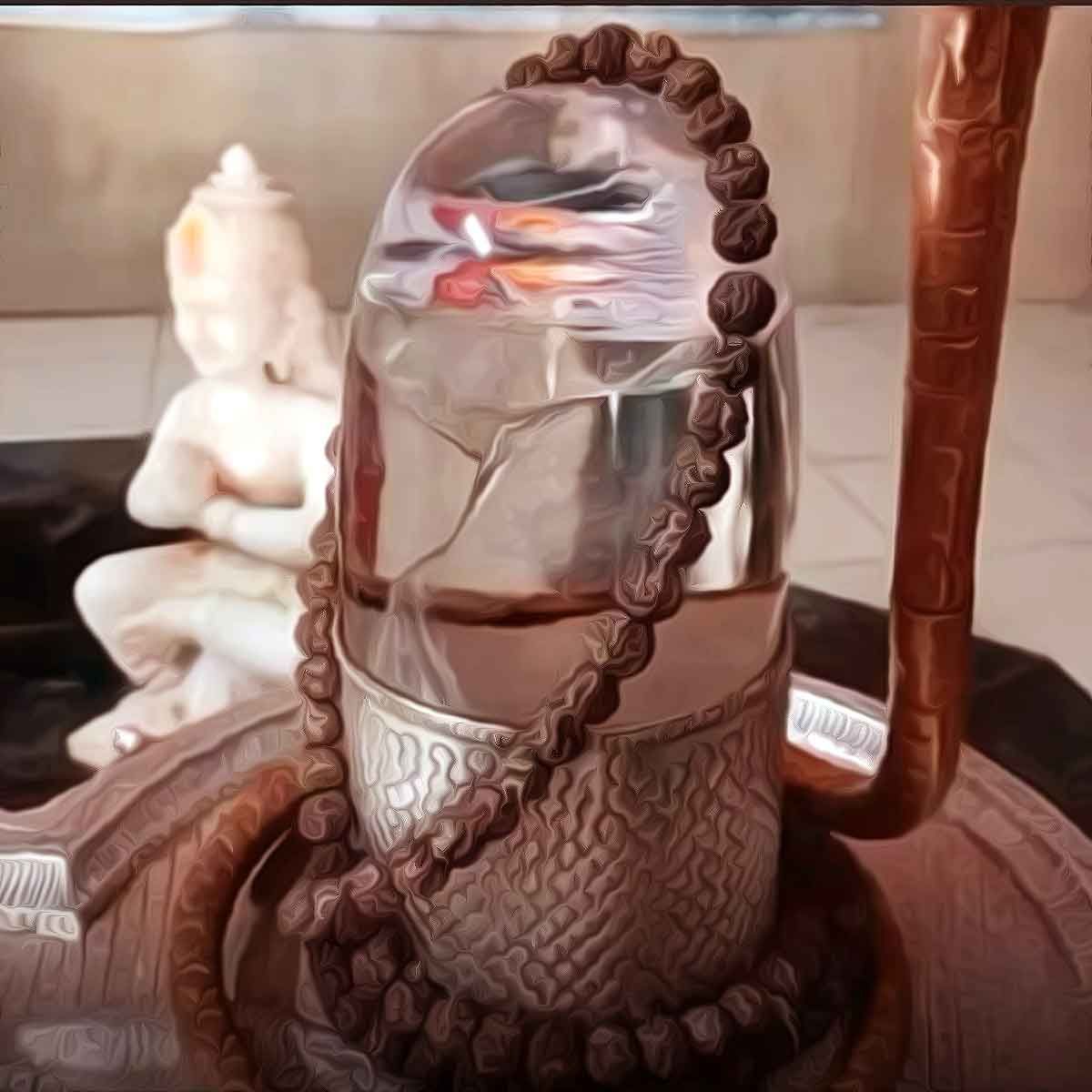 Why Joshimath is sinking, and its larger environmental repercussions