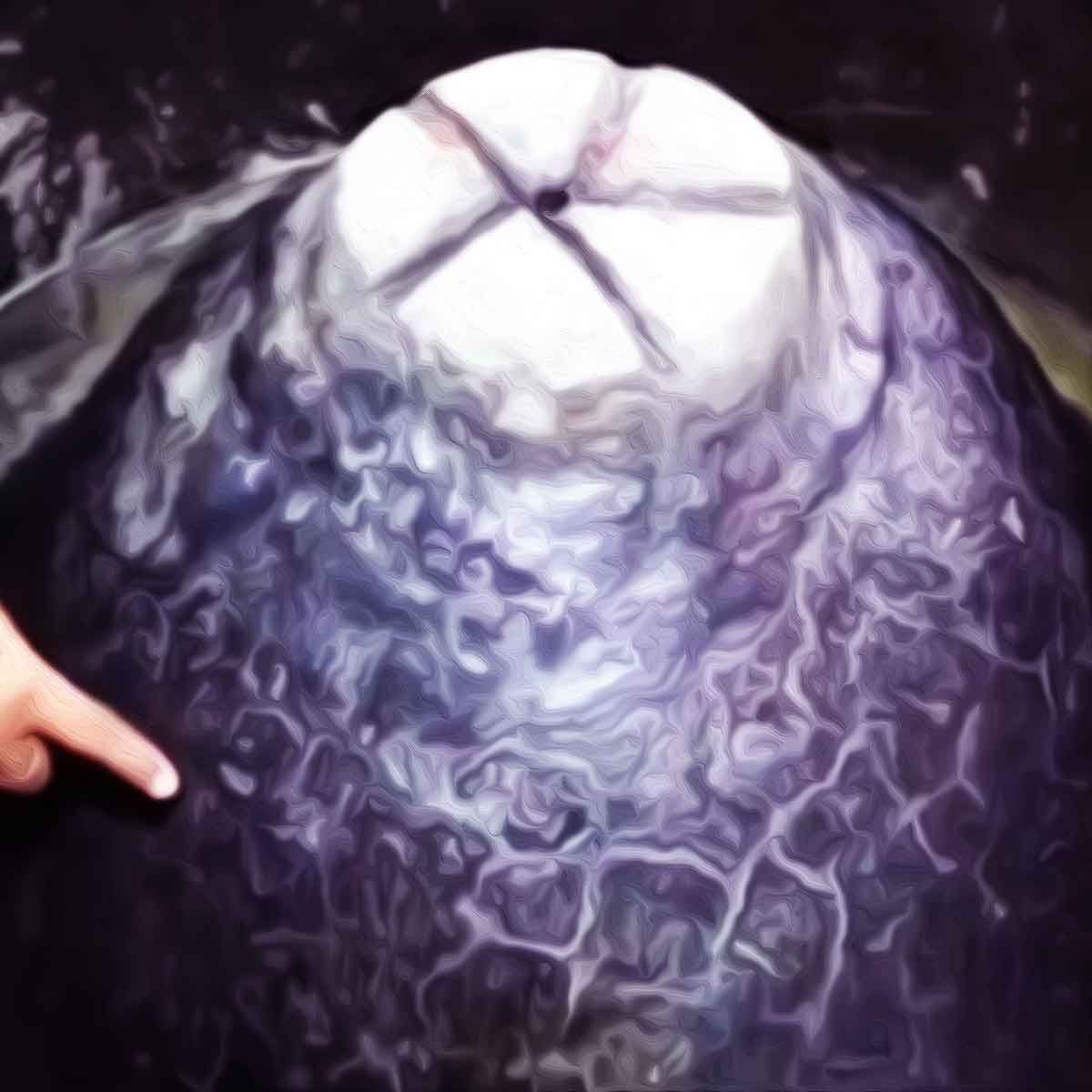 Hindu devotees file plea in Supreme Court to perform religious rituals for Shivling at Gyanvapi site