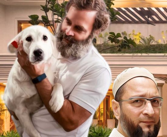 AIMIM leader Md Farhan moves to the court against Rahul Gandhi for naming his dog ‘Noorie’, says ‘religious sentiments hurt’