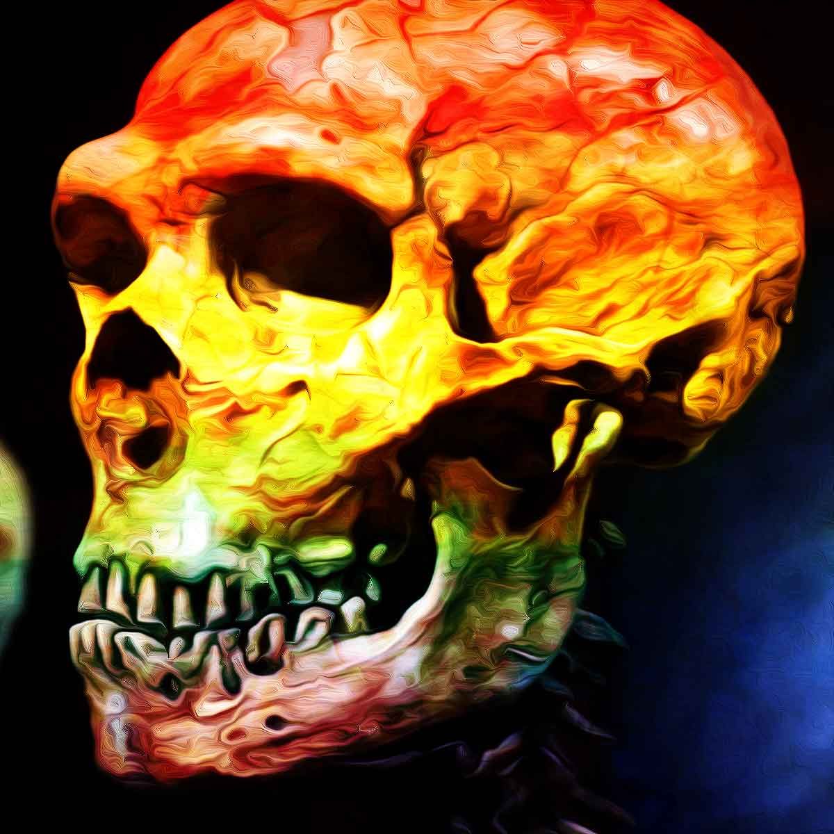 Gender Activists want archeologists not to determine gender of human remains 