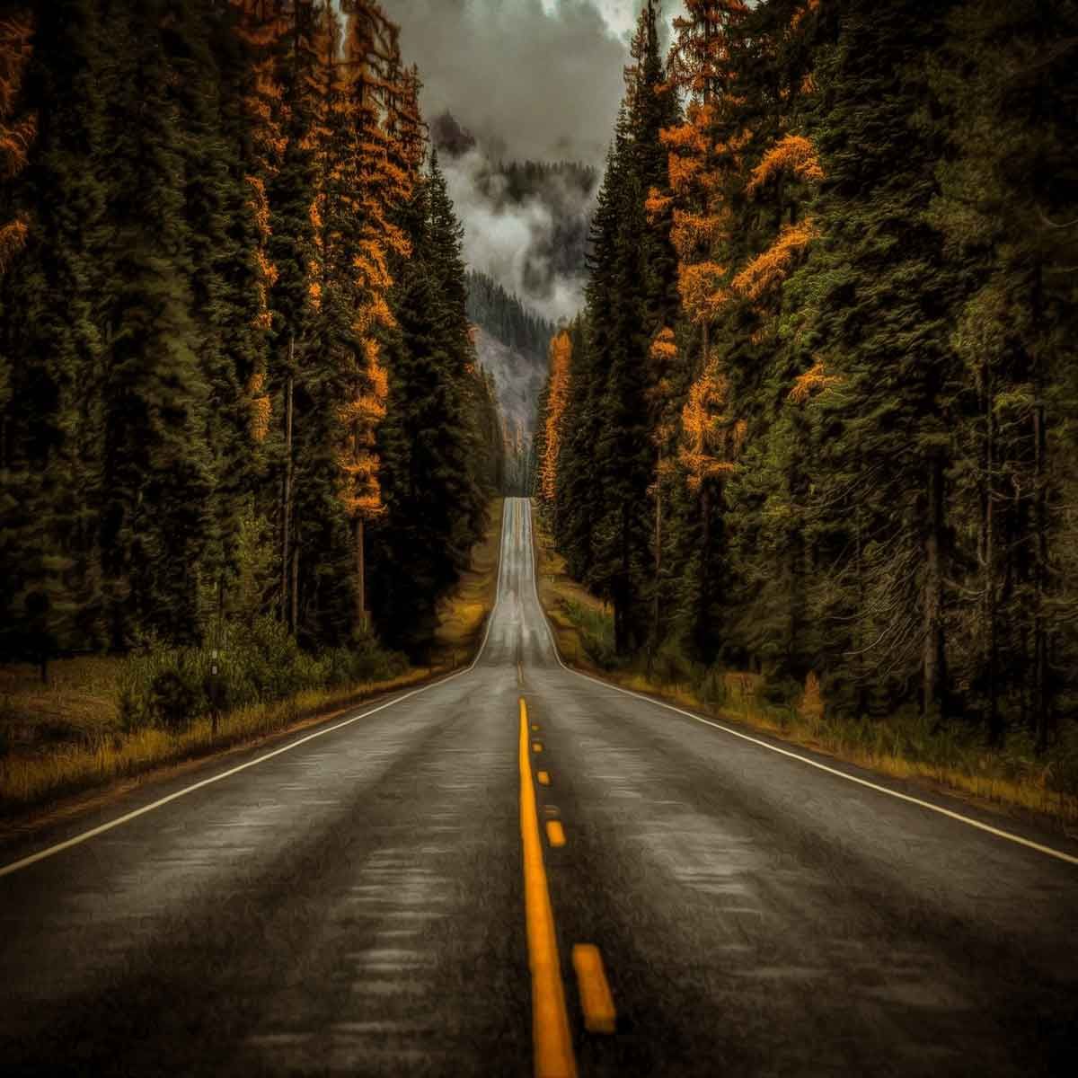 India-Thailand highway: Manipur to Myanmar by bus, Kolkata-Bangkok travel time cut; Gadkari gives big update