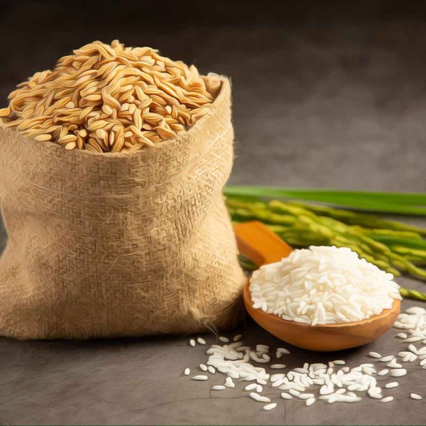 Kerala’s Rice Technology Park will make Kuttanad variety a global brand