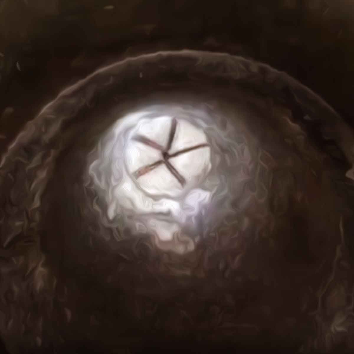 New visuals of Shivling inside Gyanvapi compound surface